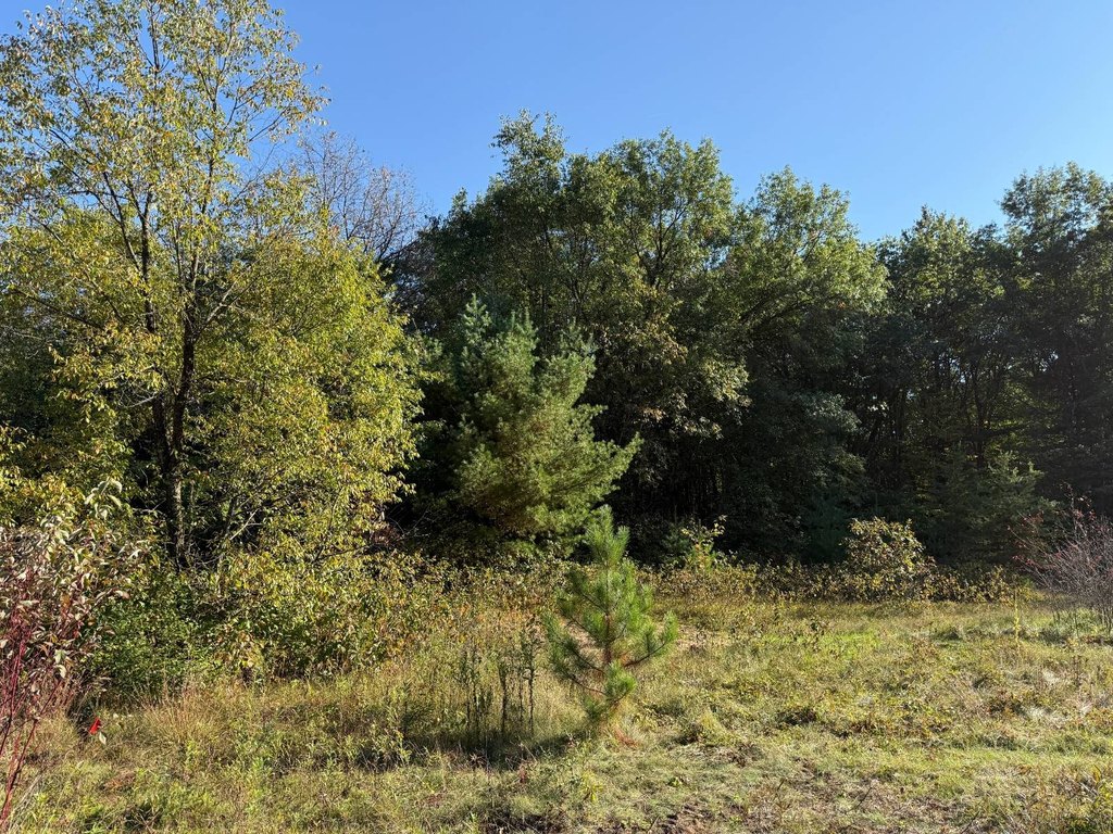 Picture 8