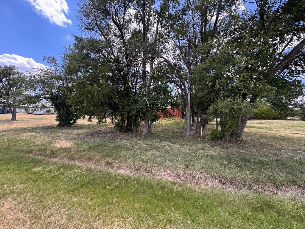 Picture 20