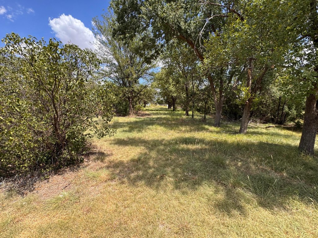 Picture 21