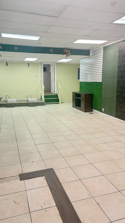 Picture 11
