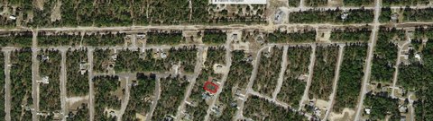 Land, CITRUS SPRINGS, FL