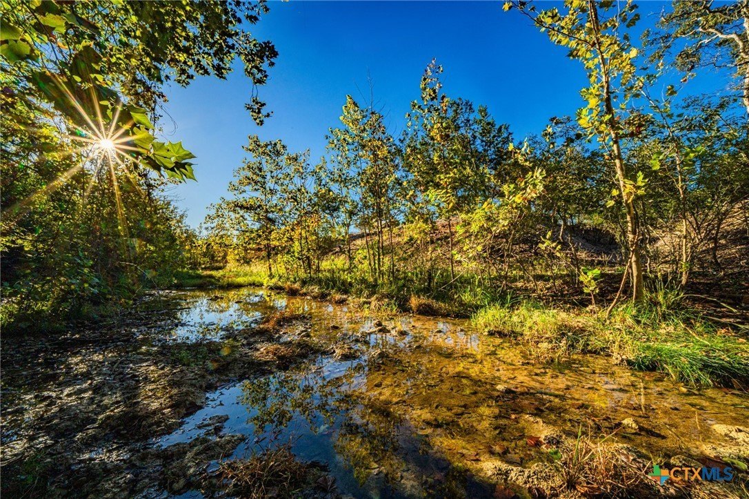 137 Acres with Buttermilk Creek