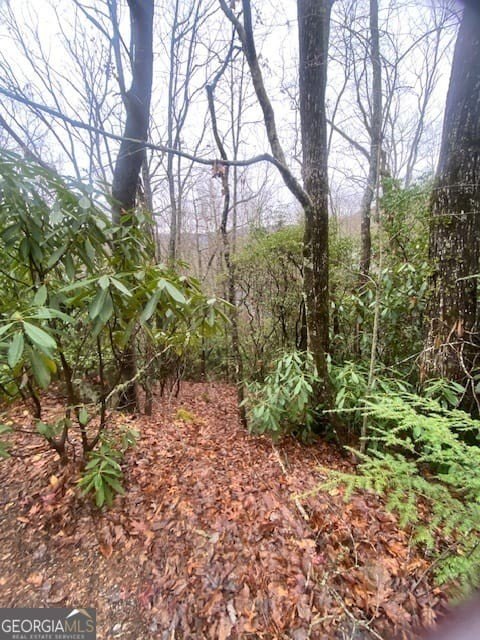 Picture 3