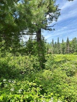 Hayward Land Parcel For Sale