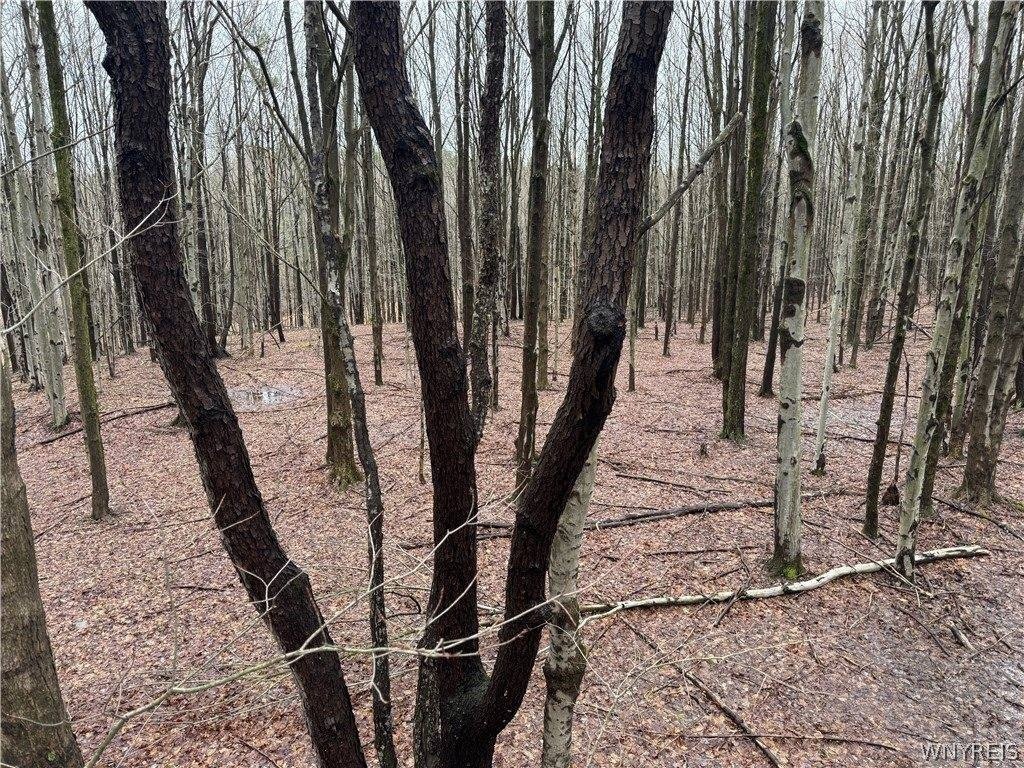 Picture 19
