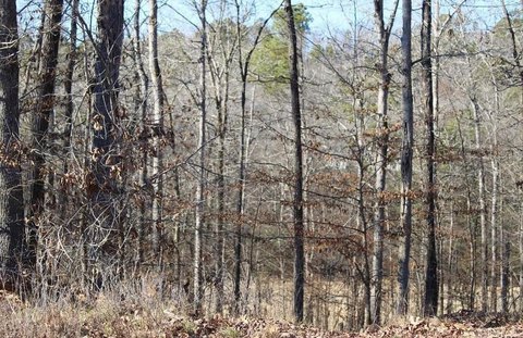 Hot Springs Golf Course Lot