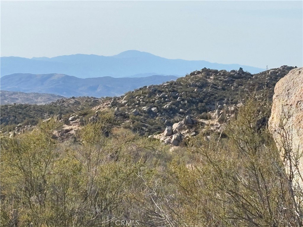 Picture 15