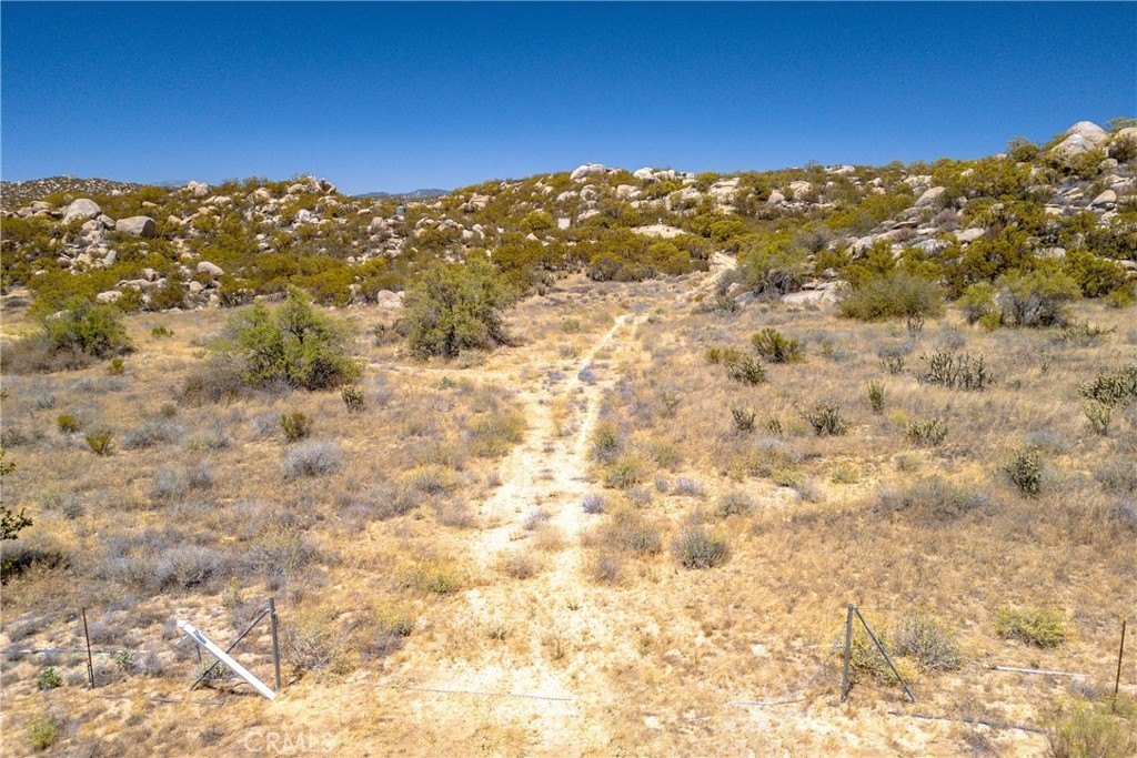Picture 48