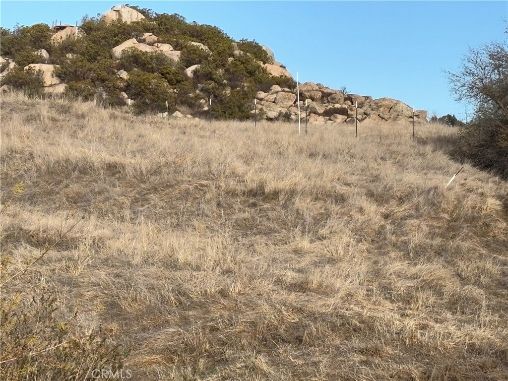 Picture 21