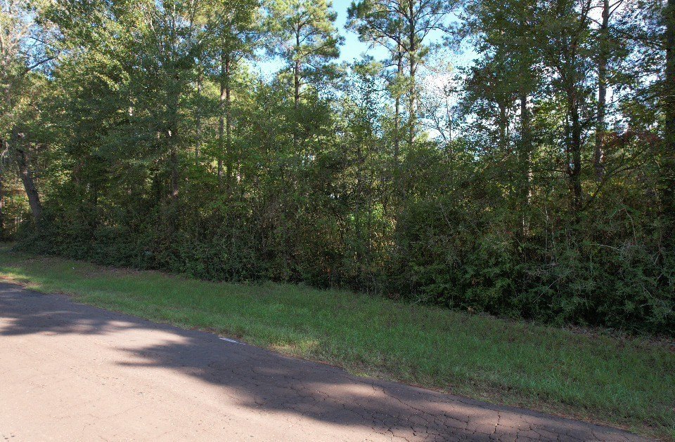 Picture 14
