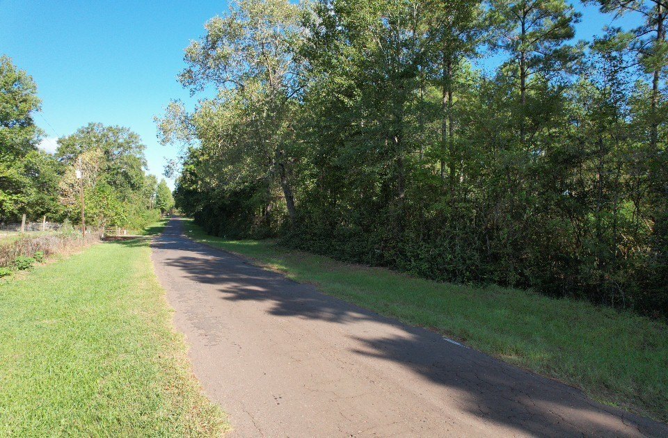 Picture 15