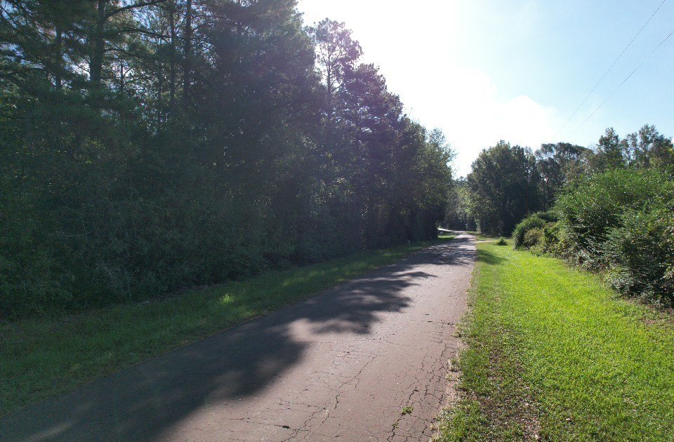 Picture 11