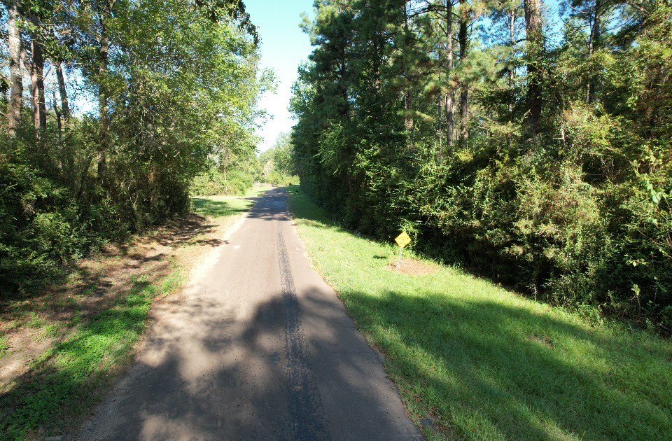 Picture 3
