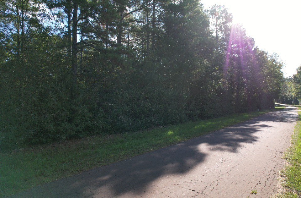 Picture 12