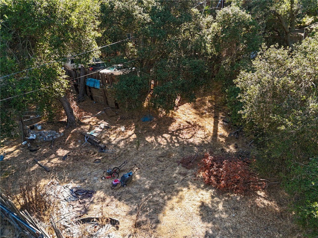 Picture 26