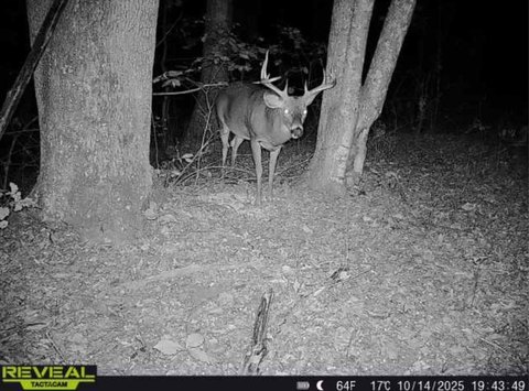 Secluded Hunting and Recreational Land