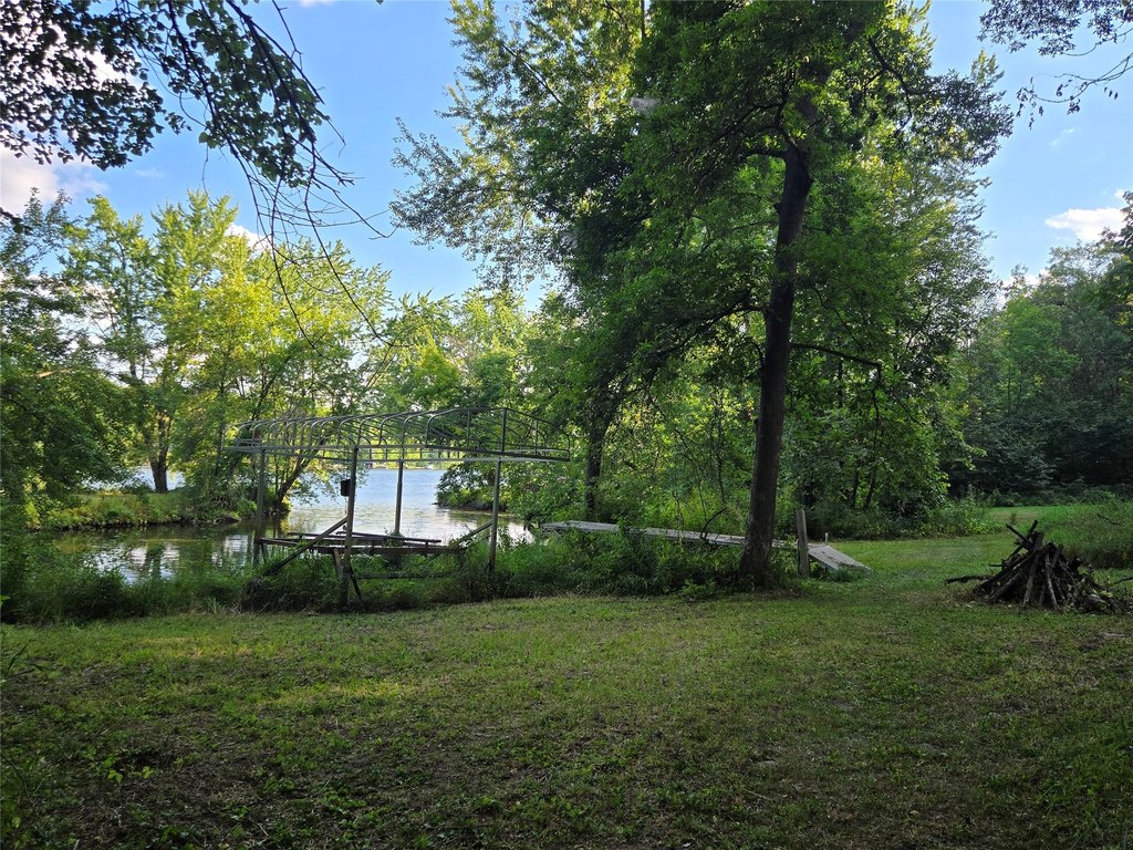 Picture 8