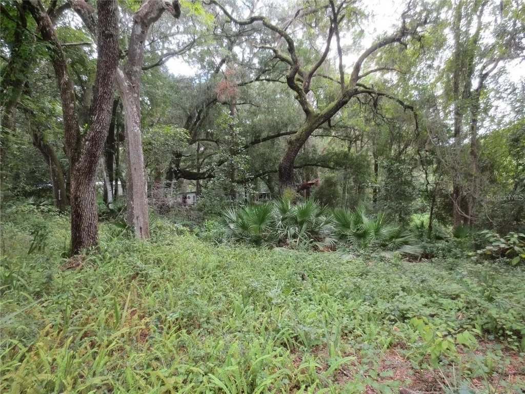 Picture 19