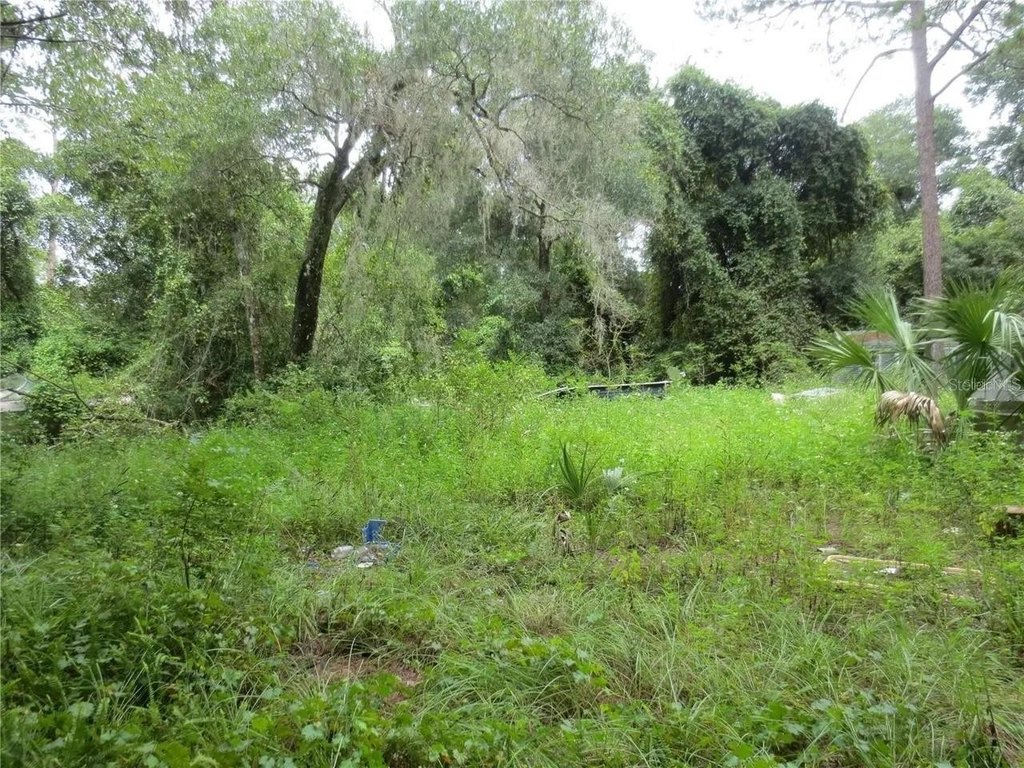 Picture 16