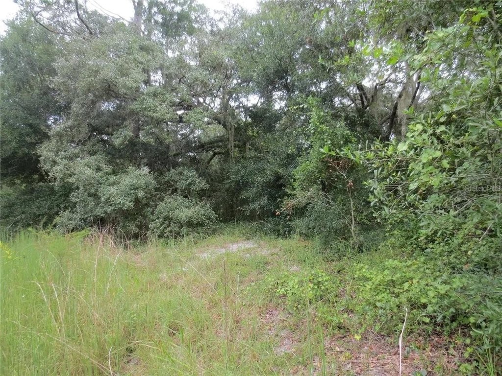 Picture 24