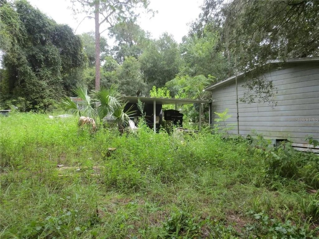 Picture 15