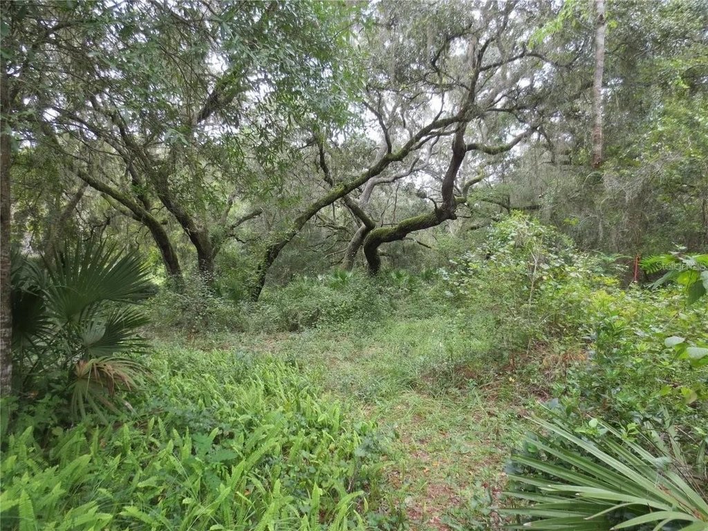 Picture 17