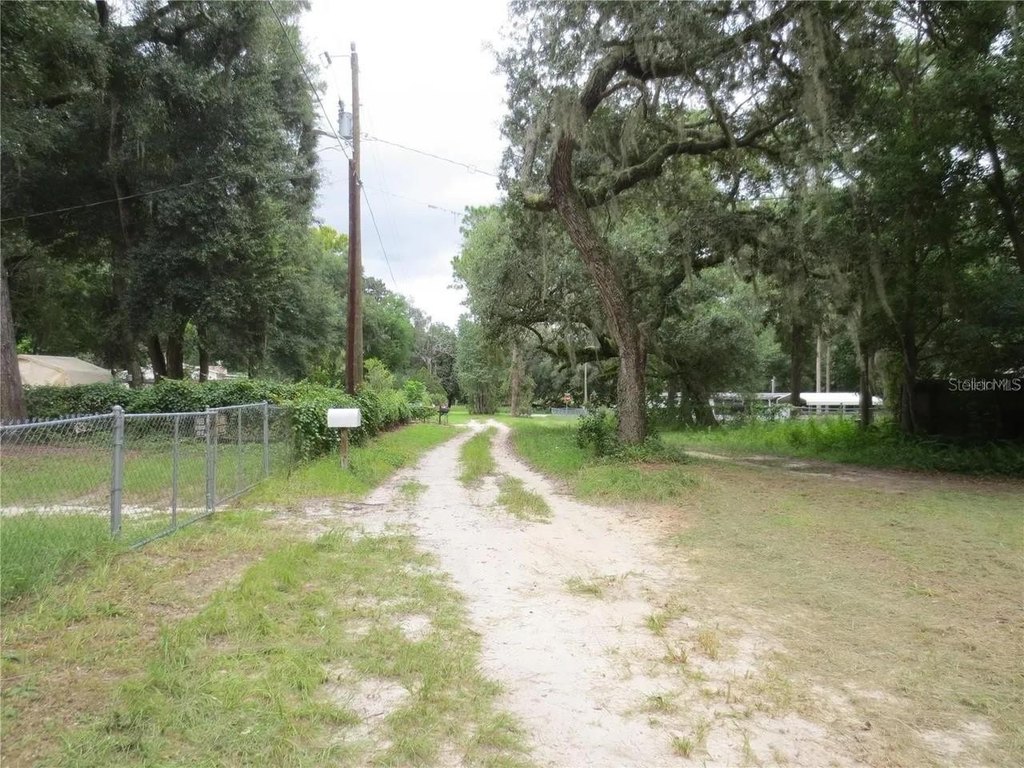 Picture 25
