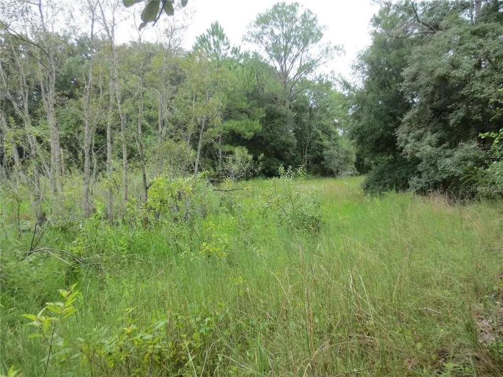 Picture 22