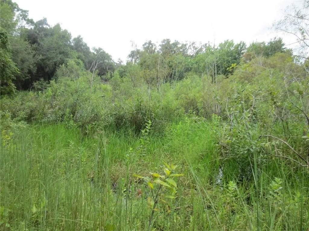 Picture 23