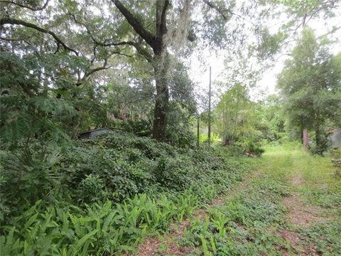 Wooded Multi-Lot Residential Land