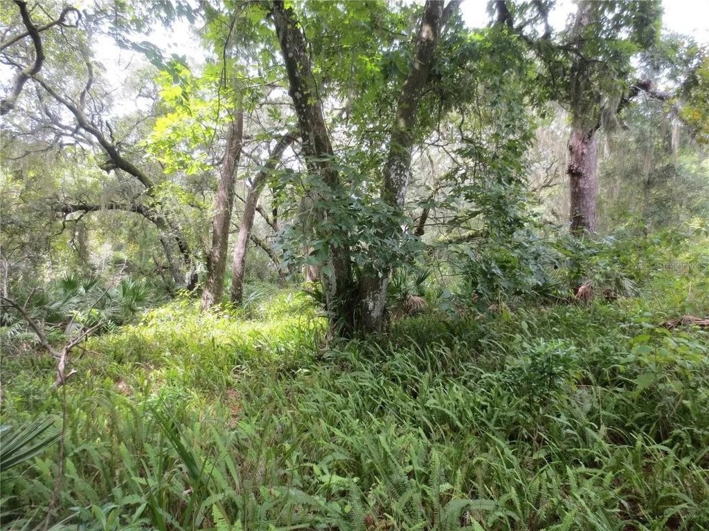 Picture 13