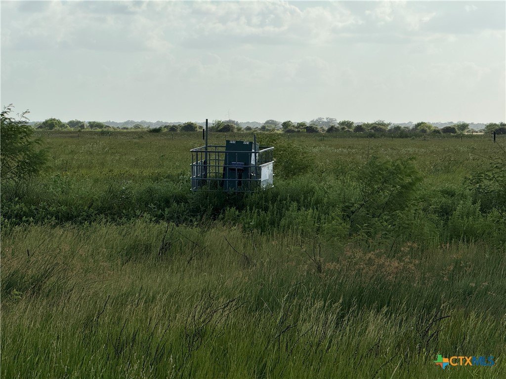 Picture 31