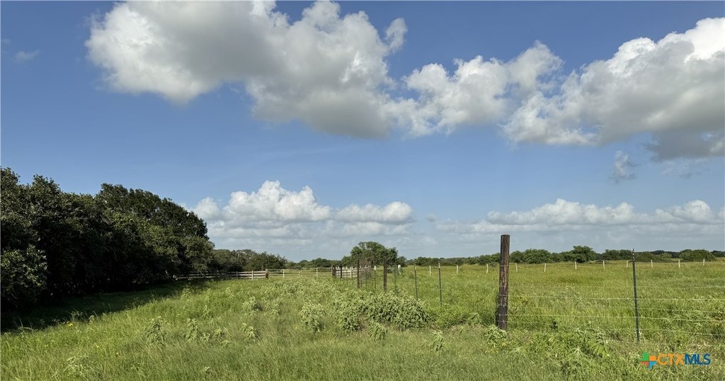 Picture 20