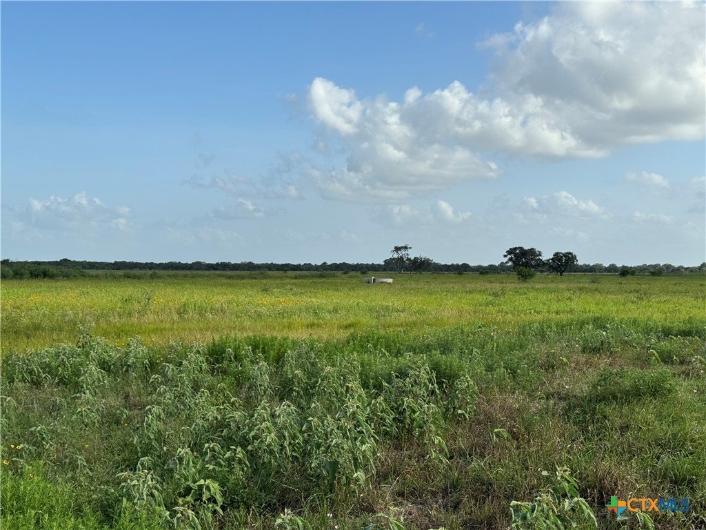 Picture 37