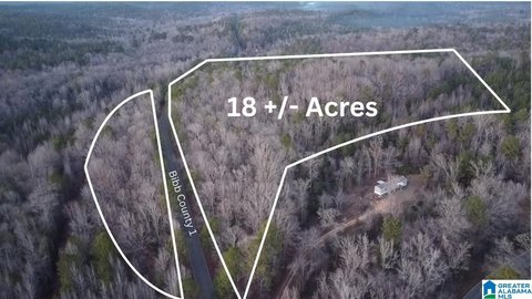 LAND/LOTS, BRENT, AL
