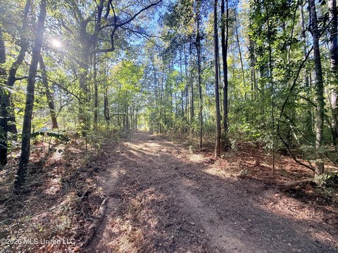 Land, Bogue Chitto, MS