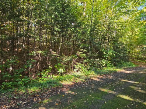 Two-Acre Wooded Lot in Preserve