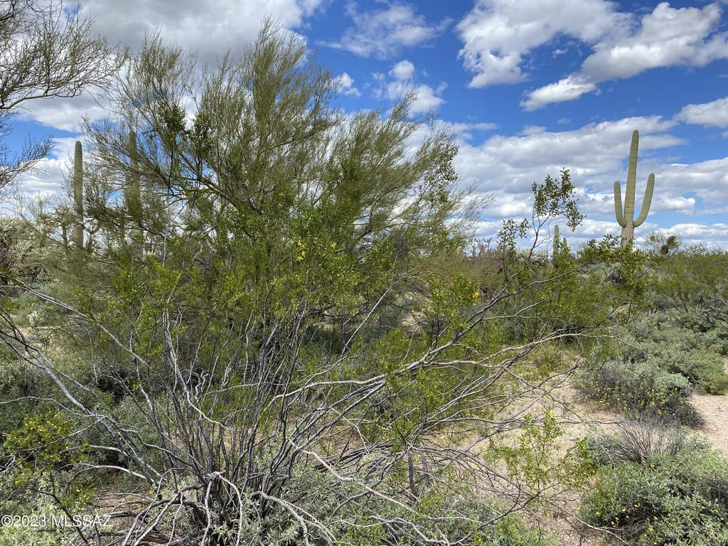 Picture 15
