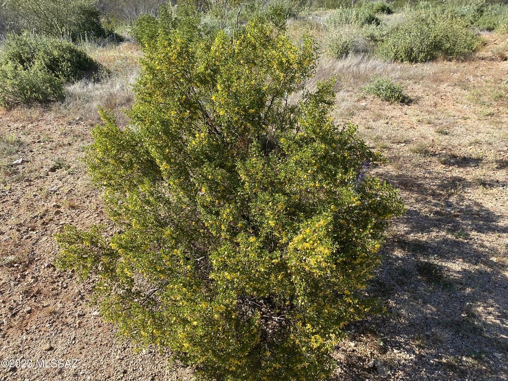 Picture 20