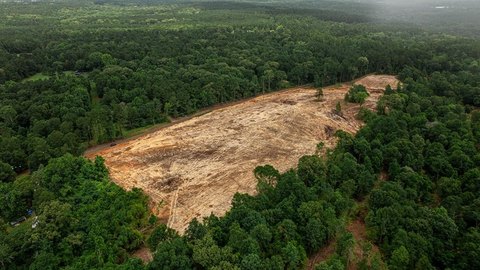LAND - Nacogdoches, TX