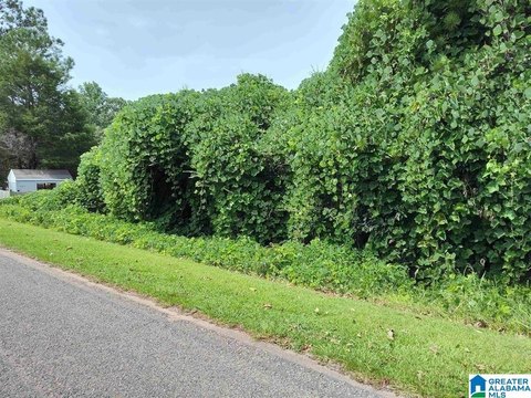 LAND/LOTS, GOODWATER, AL