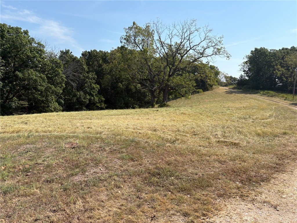 Picture 14