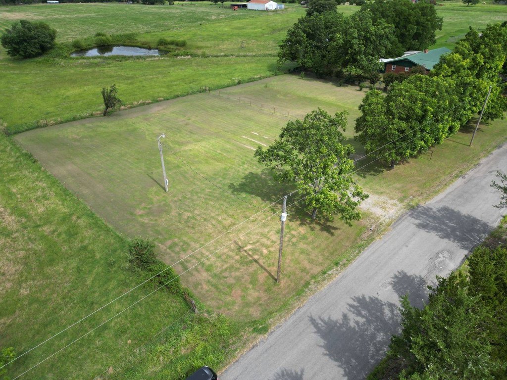 Picture 5