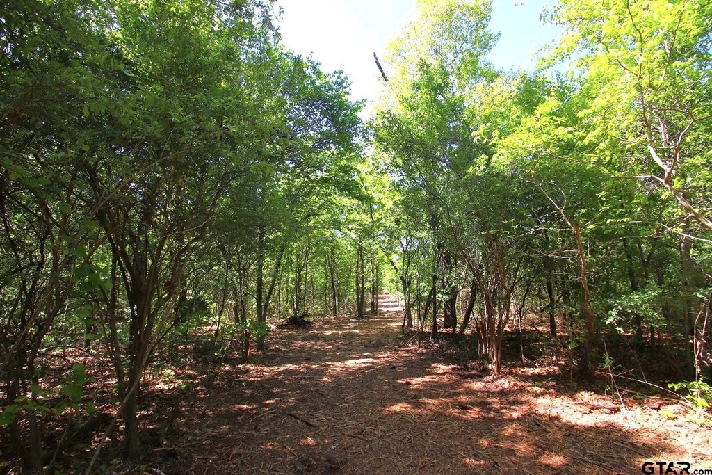 Picture 15