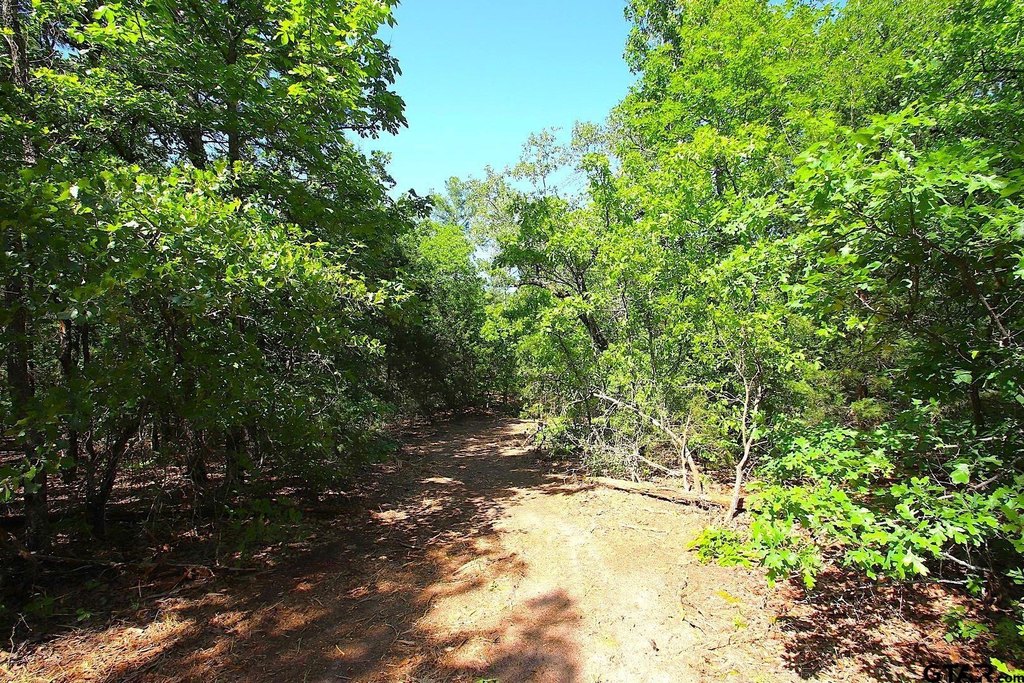 Picture 25
