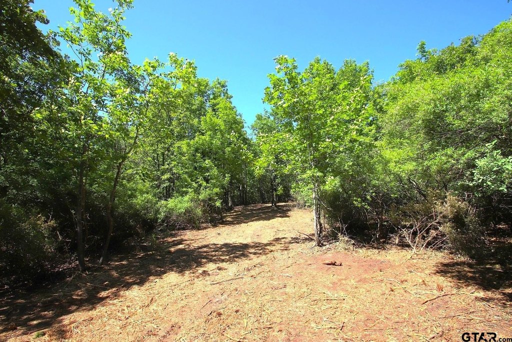 Picture 21