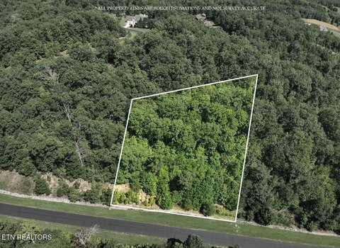 LAND - Rockwood, TN