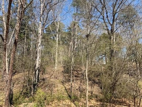 Land For Sale in Dacula