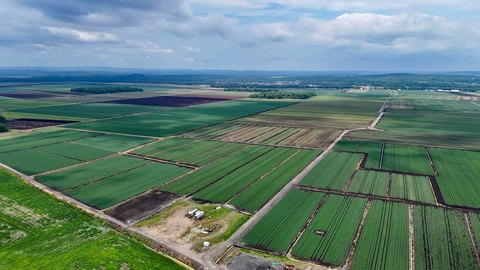 Black Dirt Farmland with Water Well