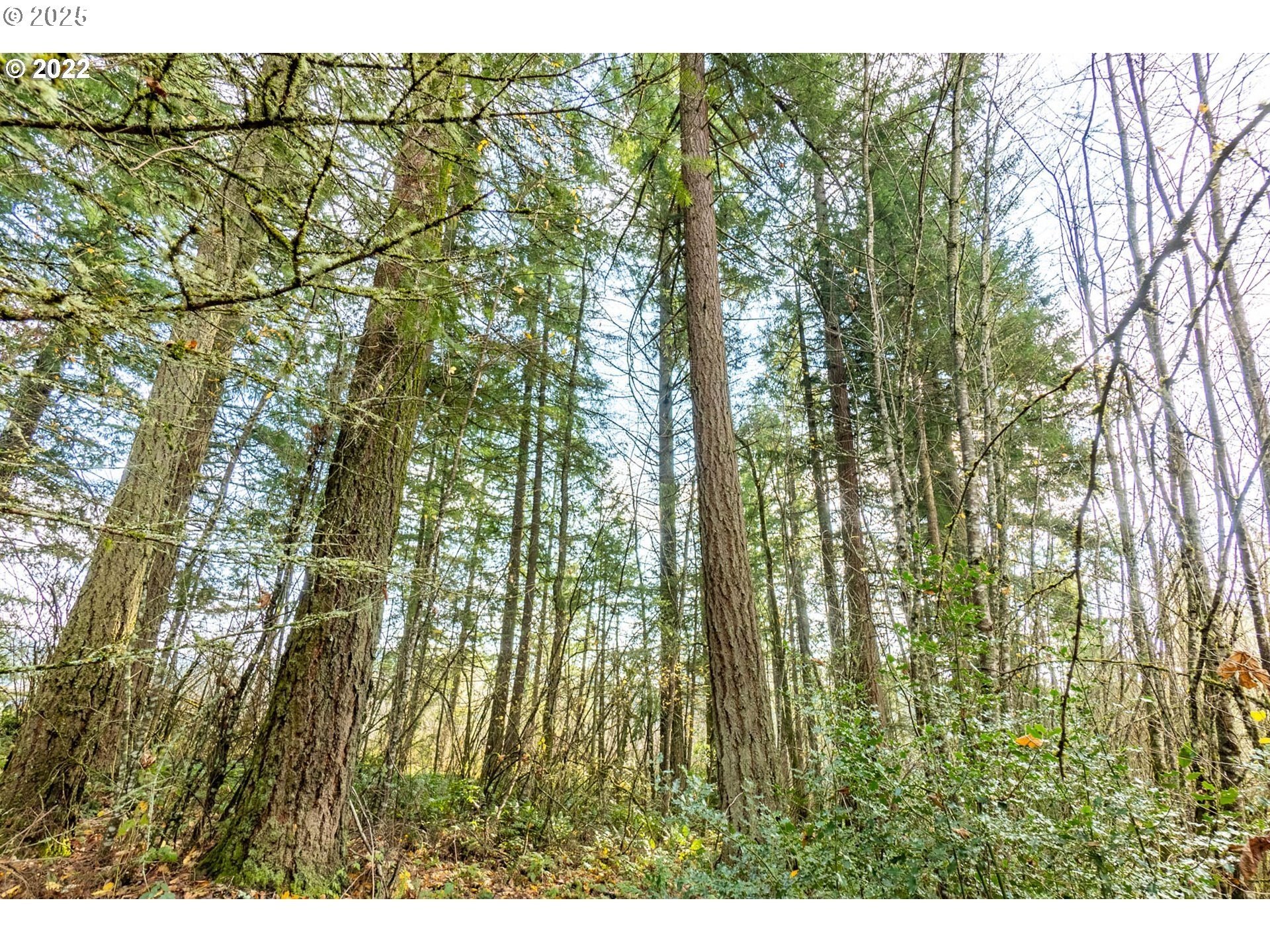 Residential Acreage in Hillsboro City
